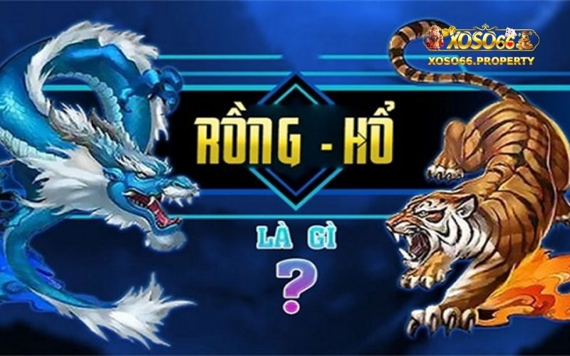 Long Hổ Xoso66: Bí Kíp Chơi Rồng Hổ Bách Chiến Bách Thắng